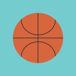 开云官网APP下载-篮球专项体能训练中的运动损伤风险管理,篮球专项体能训练应注意的问题